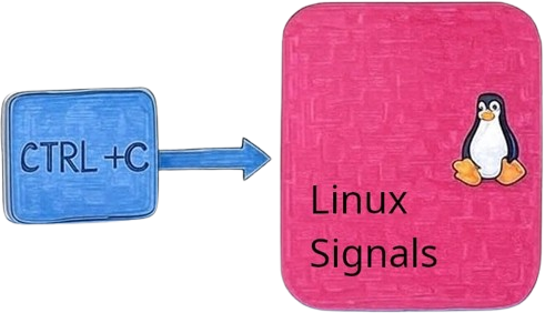 Linux Signals